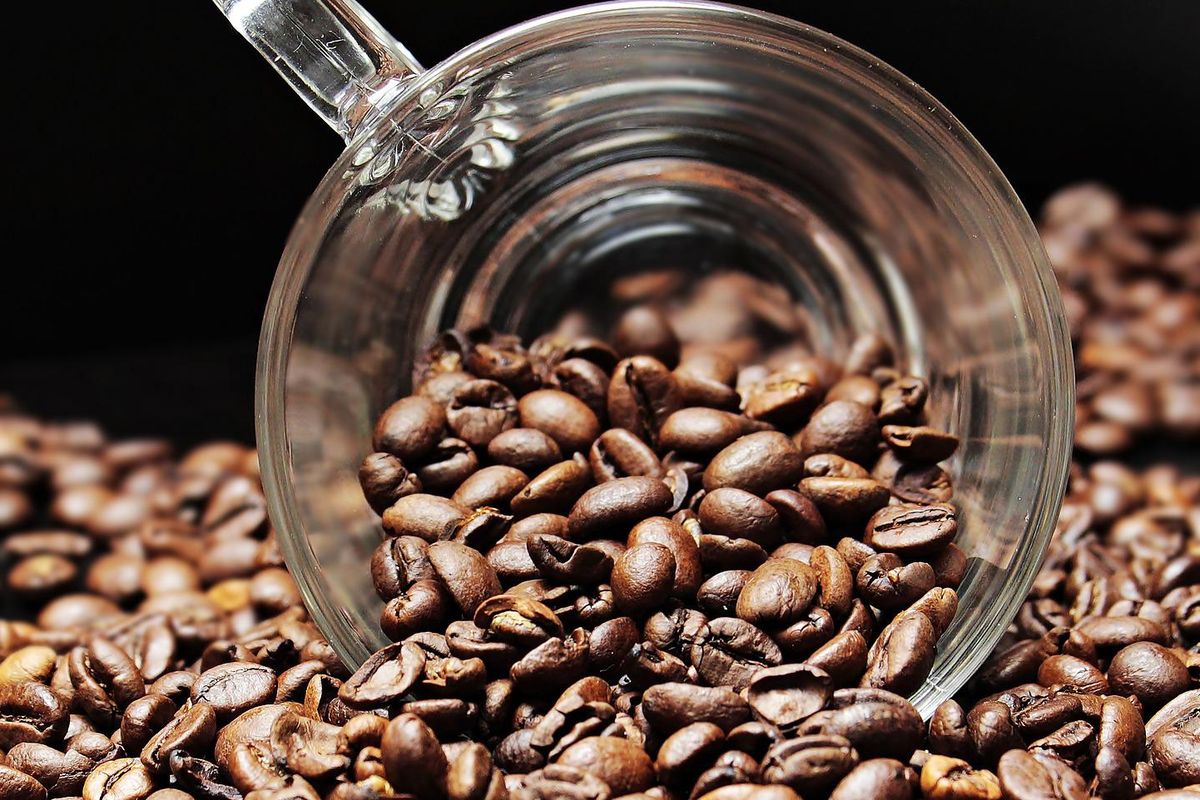 Daftar 10 Jenis Kopi di Indonesia