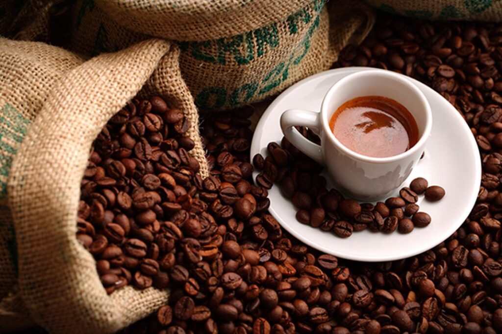 B200137-cover-Apa-Itu-Kopi-Gayo-scaled-1-1024x683 Daftar 10 Jenis Kopi di Indonesia, Nomor 3 Termahal di Dunia