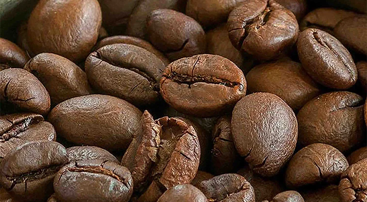 Daya-Tarik-Kopi-Toraja-Horizontal-Reference-Image Daftar 10 Jenis Kopi di Indonesia, Nomor 3 Termahal di Dunia